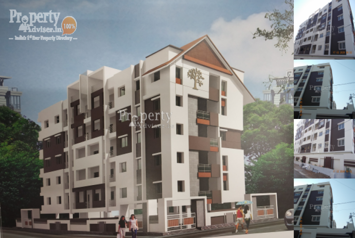 Arunas Abode in Mansoorabad updated on 22-Feb-2020 with current status