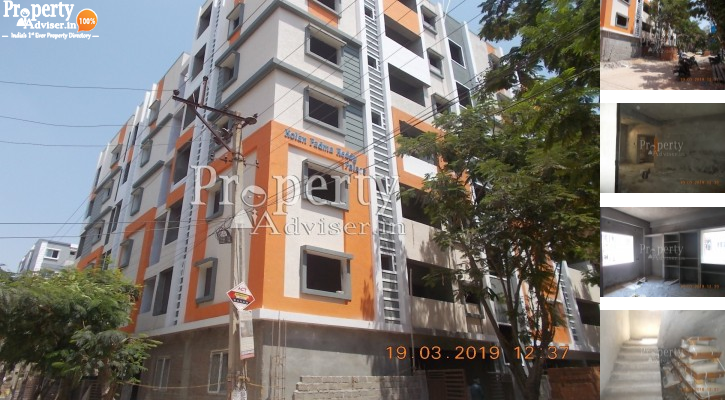 Buy Apartment at  Kolan Padma Reddy Palace in Bachupalli - 2735