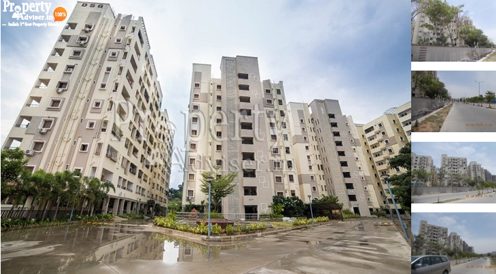 Dhivya Sree Shakthi Apartment Got a New update on 07-May-2019