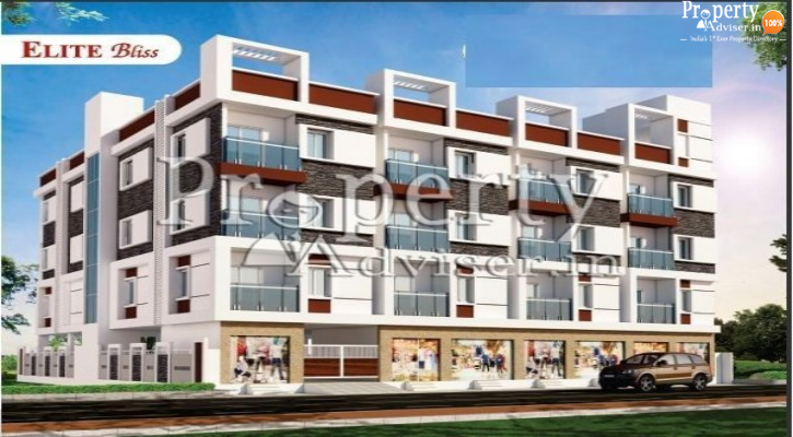 Elite Bliss in Beeramguda updated on 11-May-2019 with current status