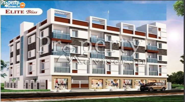 Elite Bliss in Beeramguda updated on 13-Jun-2019 with current status