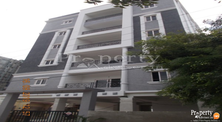 Latest update on Mapple Homes - D Apartment on 17-Sep-2019
