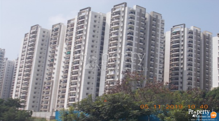 Latest update on Rainbow Vistas at Rock Garden Apartment on 06-Nov-2019