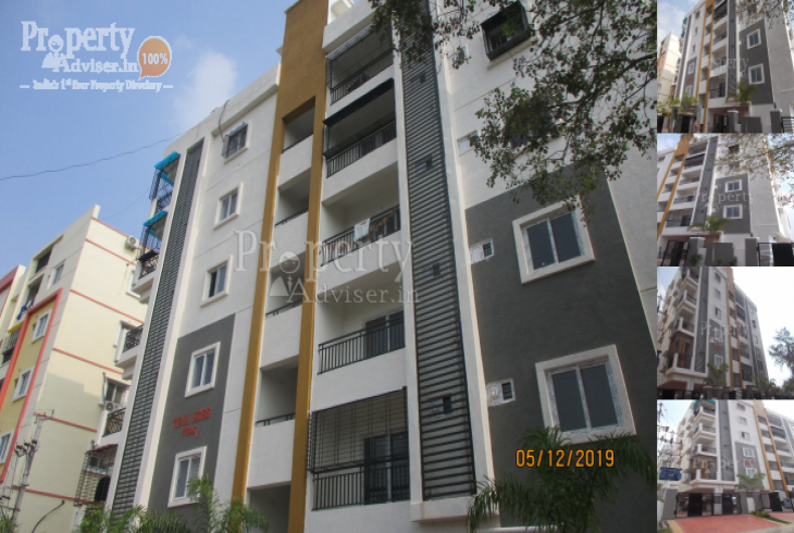 Tejashree Vihari in Maseed banda updated on 06-Jan-2020 with current status