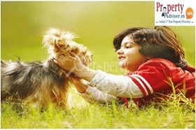 Buy 3BHK Residential Apartments For Sale In Hyderabad At Gachibowli