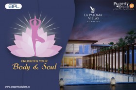 eipl-la-paloma-enlighten-your-body-and-soul