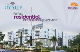  Risinia Oyster — Adding Value to Life