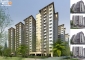 Necklace Pride Block D in Kavadiguda Updated with latest info on 12-Aug-2019