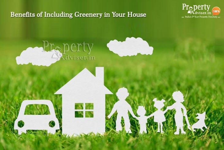 Five Benefits of Including Greenery in Your House