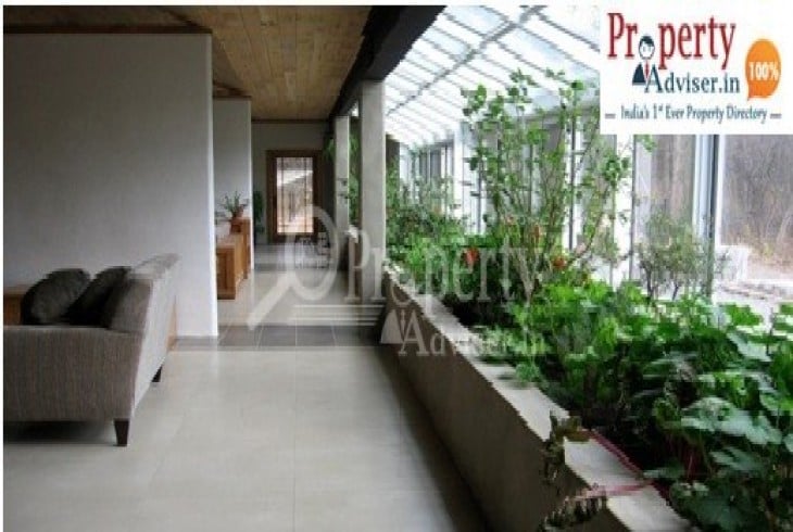 Go Green Design Your Home With Plants For Healthy Future