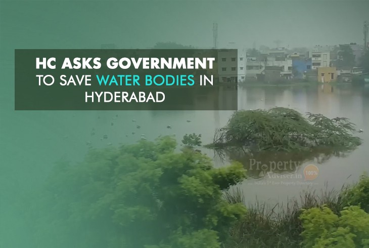 Telangana High Court Tells Government to Protect Hyderabad Lakes 