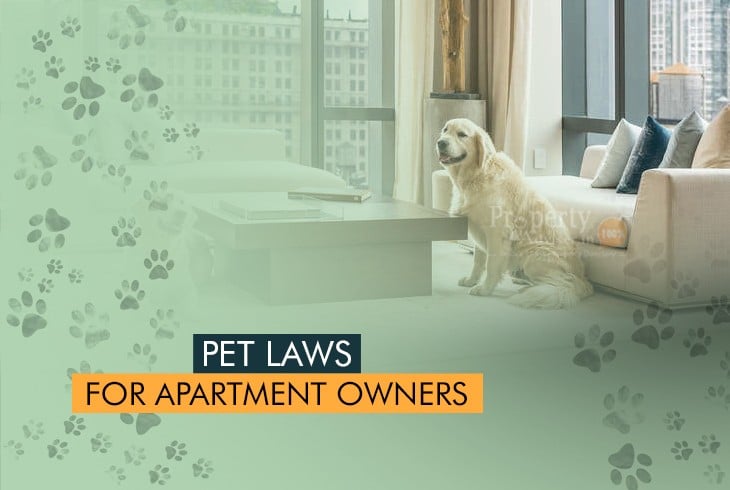 Pet Laws for Apartments