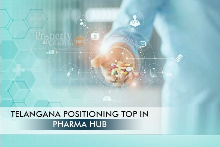 Pharma Sector in Telangana Recorded Strong in Bulk Drugs Production
