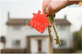 Low Cost Housing With Good Profitability Details From Experts