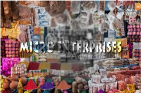 GES Hyderabad Helps Microenterprise - An Alternative For Economic Development