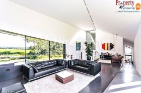 Go Green Design Your Home With Plants For Healthy Future