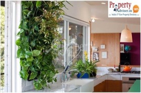 Create An Indoor Herbal Garden For Healthy Living