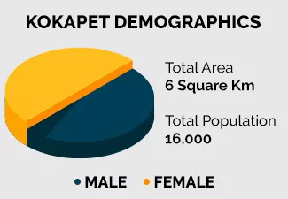 kokapet demographics