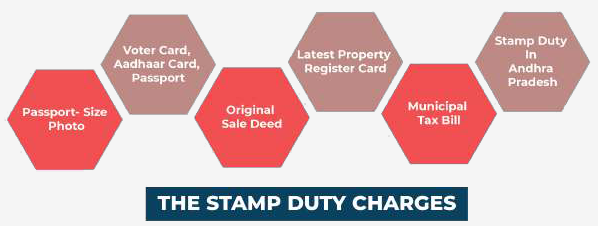 stamp-infographic