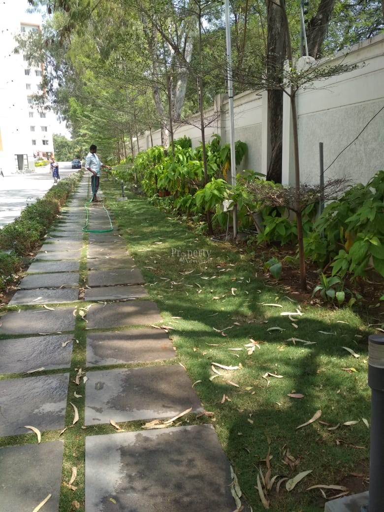 Jogging Track