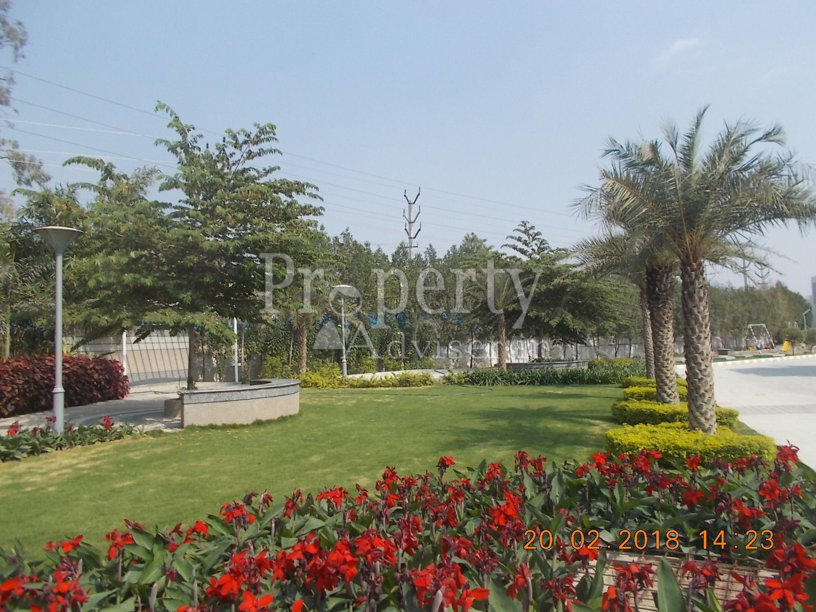 Green Landscaping