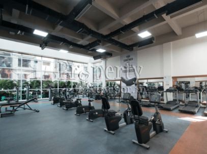 Gymnasium