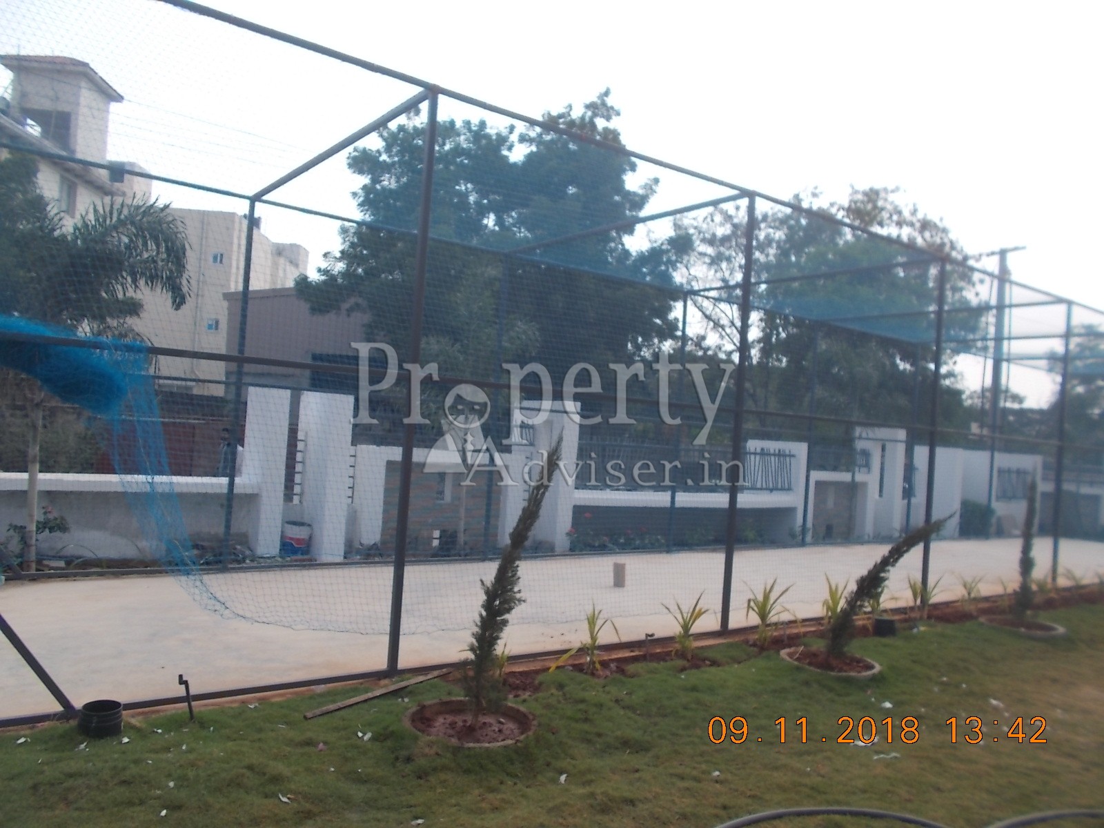 Cricket Net