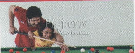 Snooker Table