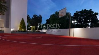 Half Basket Ball court