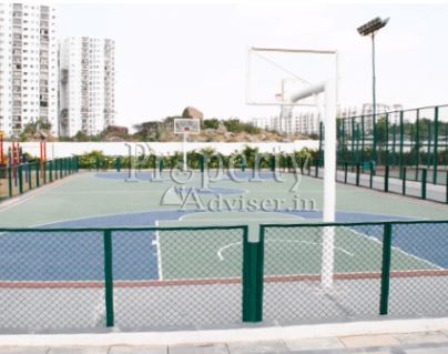 Basketball Court