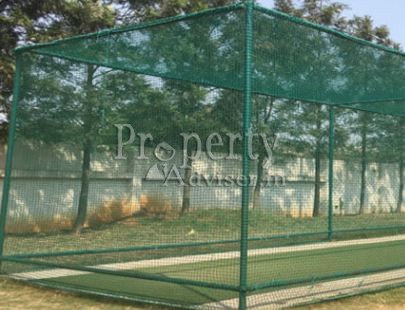 Cricket Practice Pitch