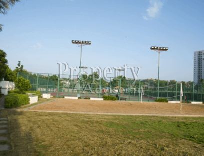Volleyball Court