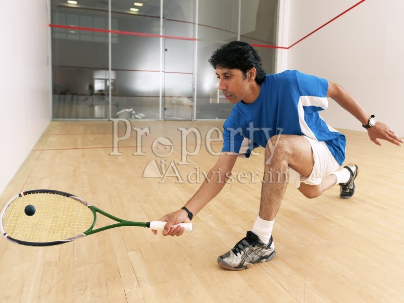 Squash Court