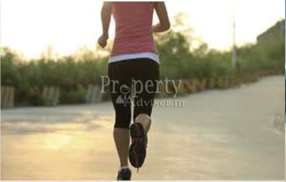 Jogging Track/Walking Track