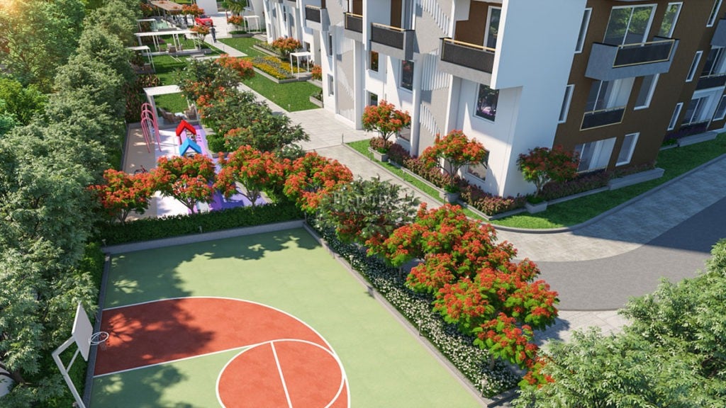 Basket ball