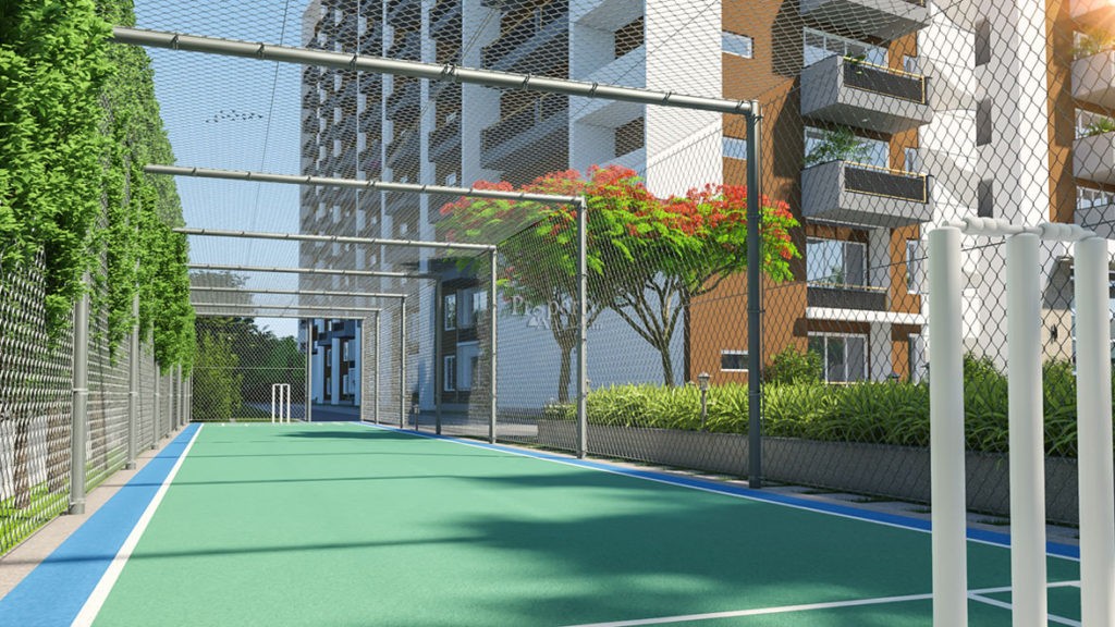 Cricket Practice Net