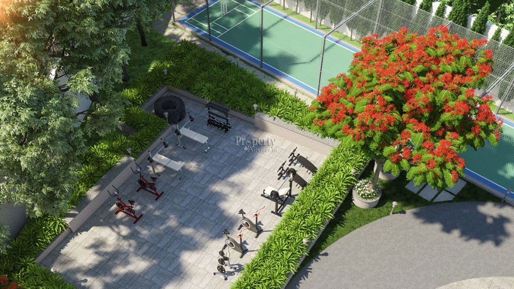 Outdoor Gym