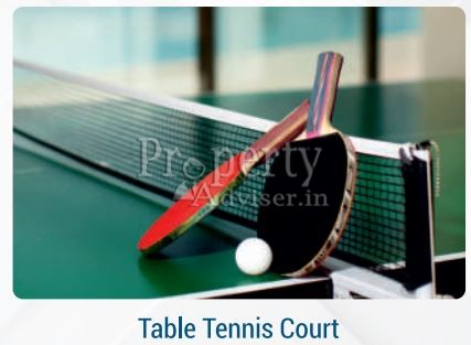 T T court