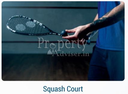 Squash Court
