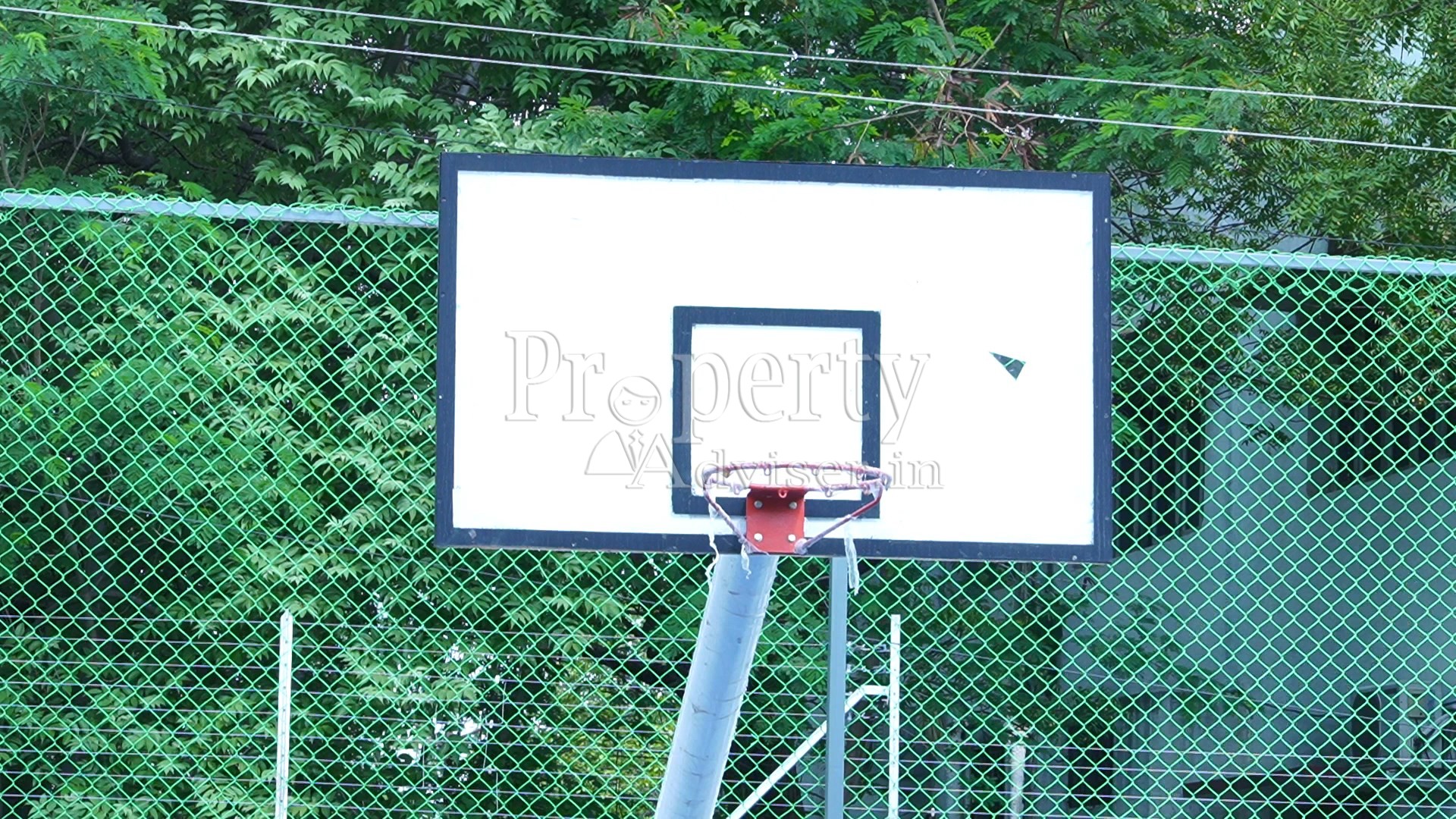 Base ball Court