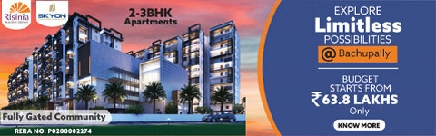 Risinia Skyon Home Banner