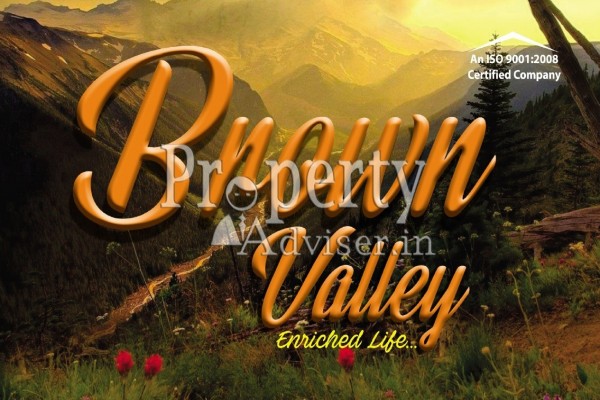Brown Valley