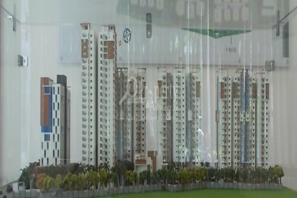 Magnus Block - C Magnus Block - C