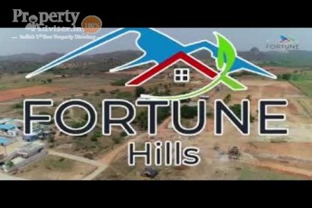 Fortune Hills