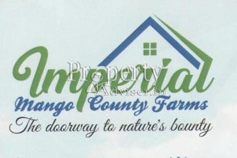 Imperial Mango County Farms-3145