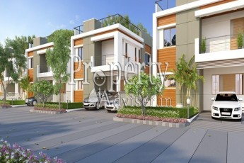 Kavuris Forest Nest-3282