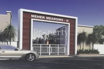 Meher Meadows - II-3356