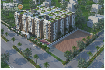 MSRs  Serene City