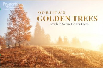 OORJITAS GOLDEN TREES-4139
