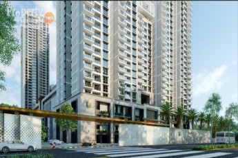 Prestige Clairemont-5222